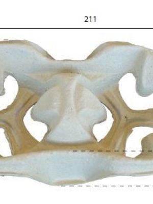 Porta bicchieri monouso in polpa di carta riciclata biodegradabile e compostabile NUOVO CODICE: 22617